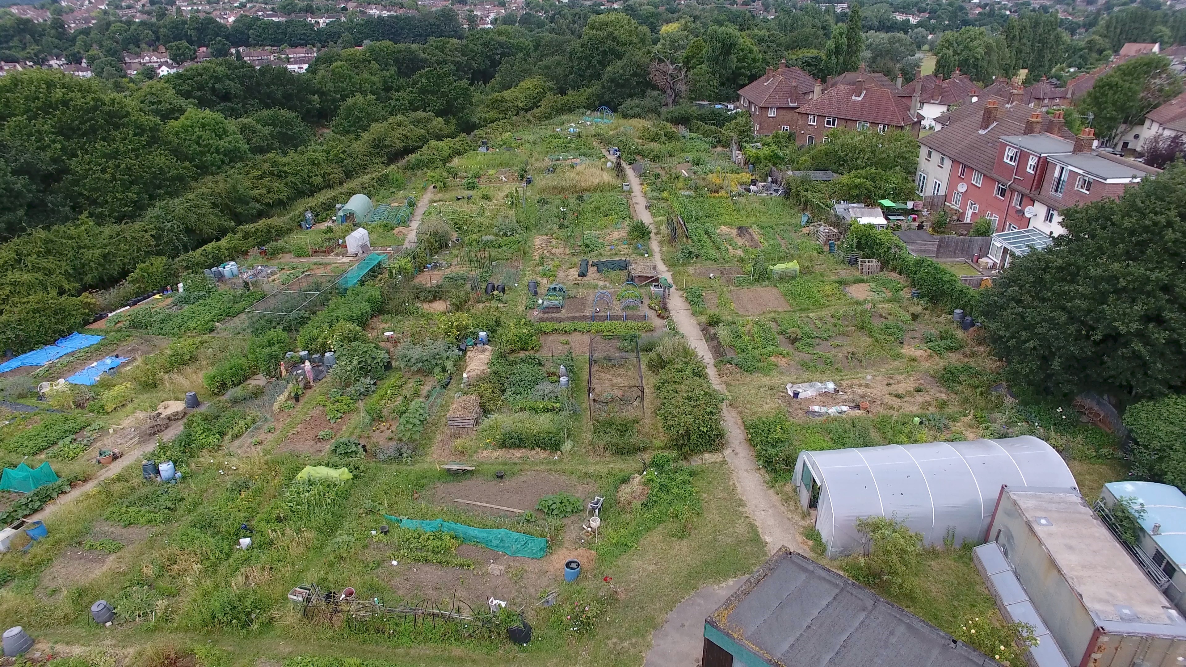 Aerial view 1