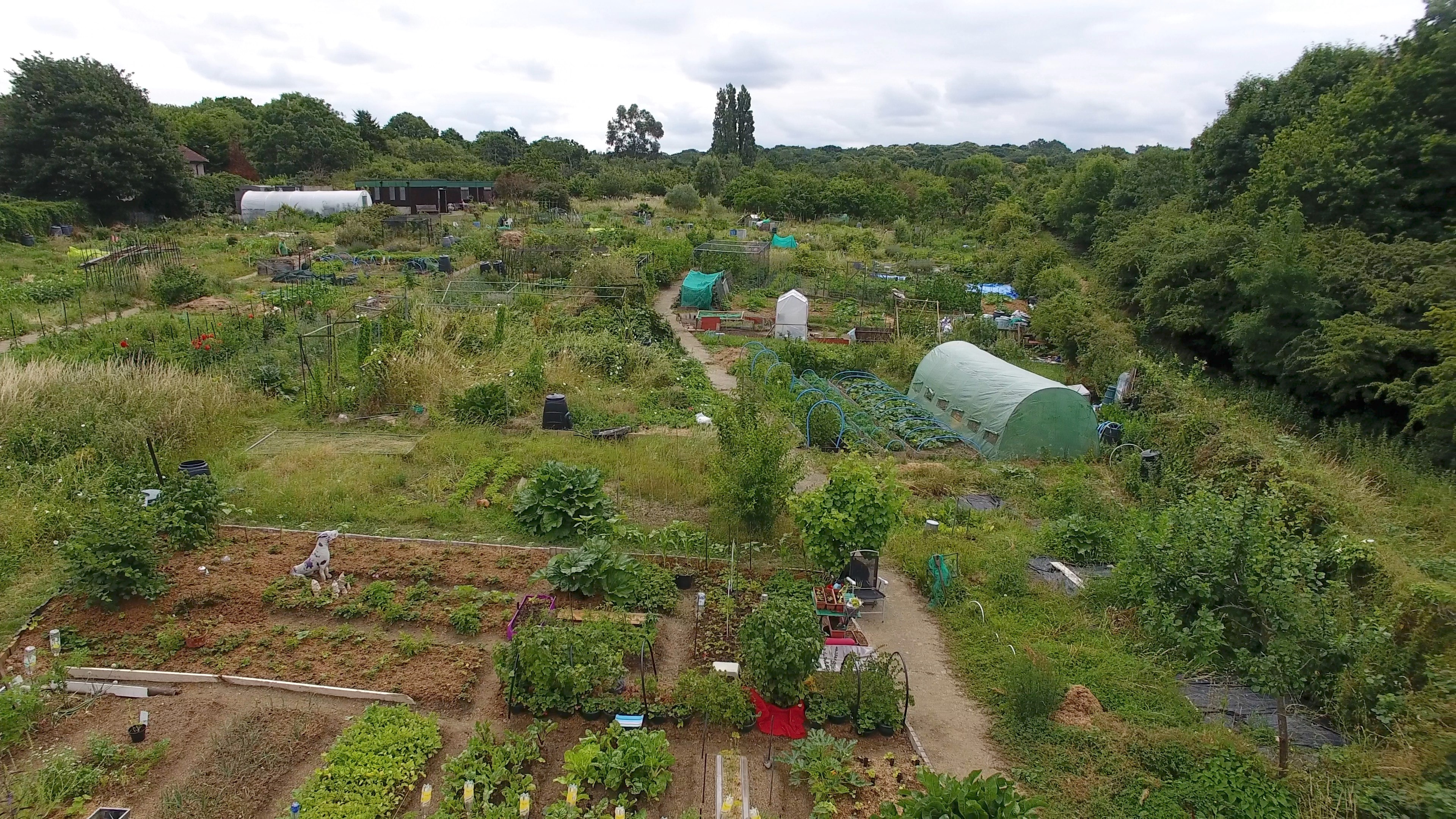 Aerial view 2