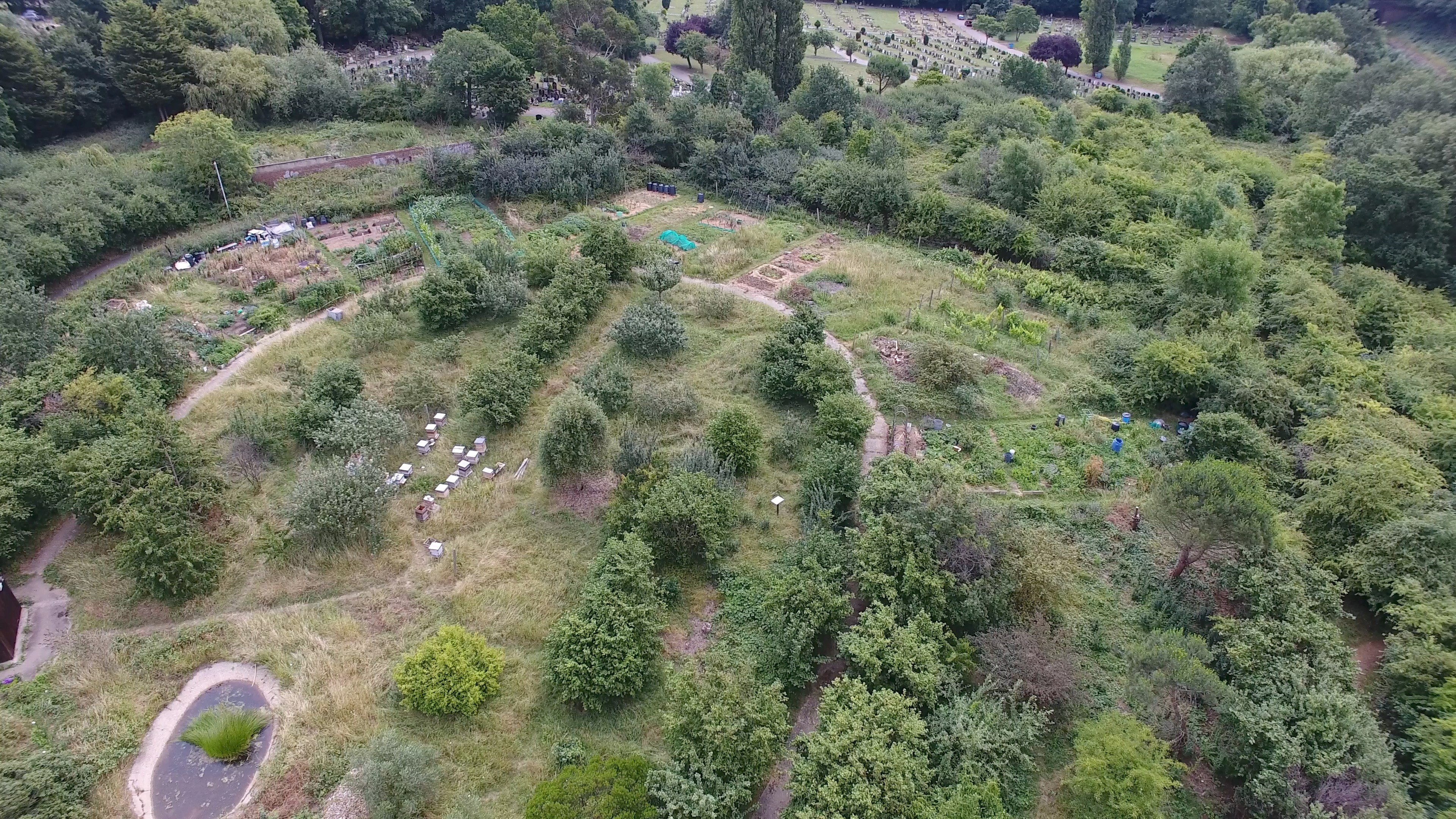 Aerial view 4