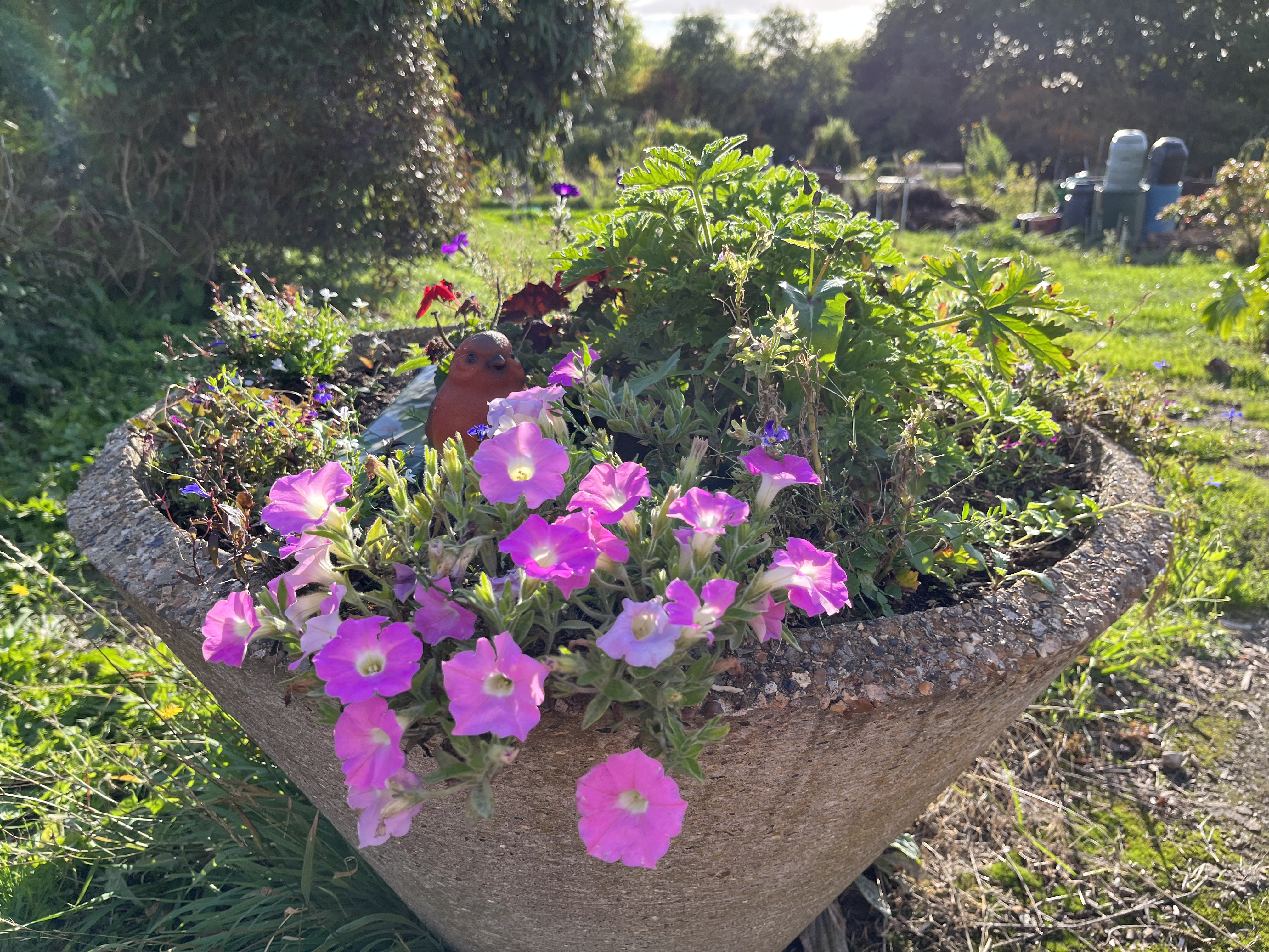Planter